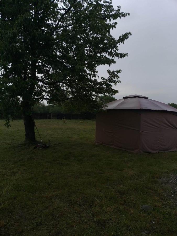 Popasul Dacilor Villa Predelut Exteriör bild